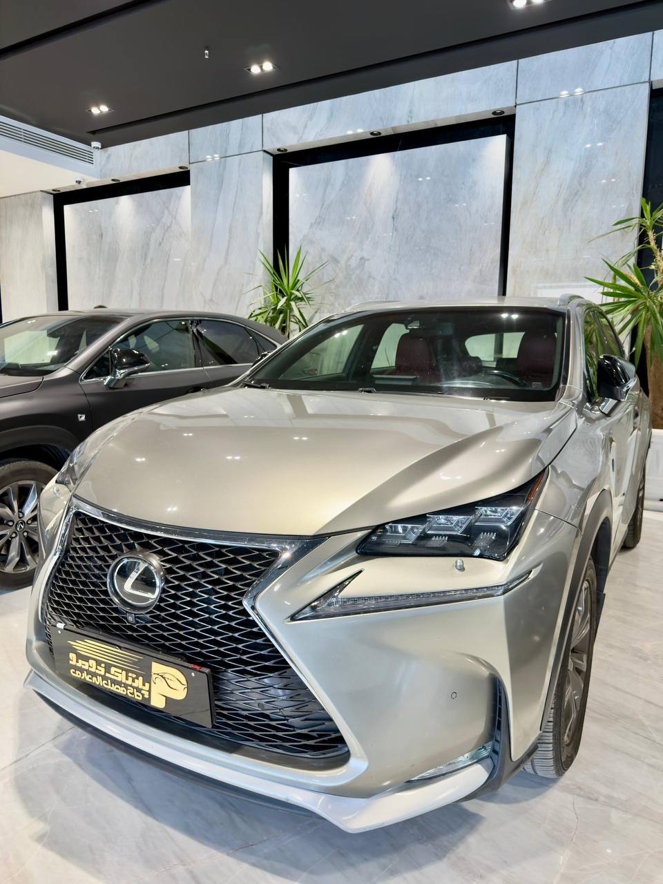 لکسوس NX200T - نقره ای - خشک